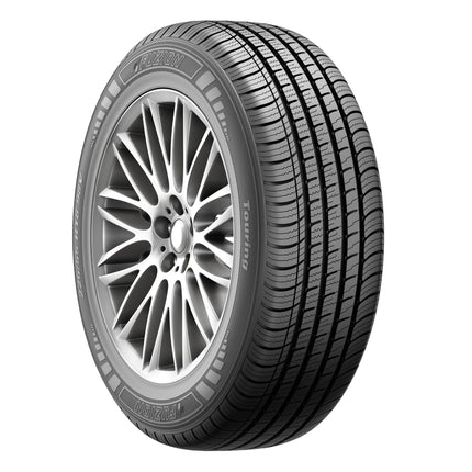 Fuzion Touring A/S Tire 205/60R16 92V